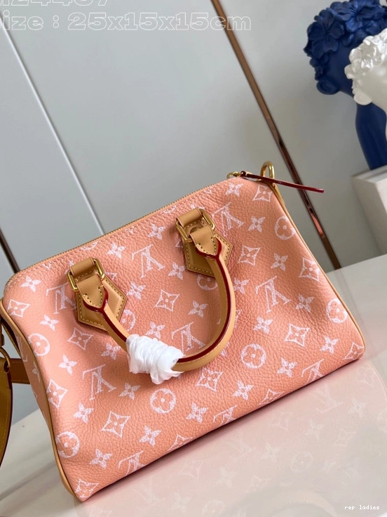 Cheap Vuitton 25 SPEEDY Louis 0710